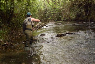 Gipuzkoa refuerza la protección de su fauna fluvial