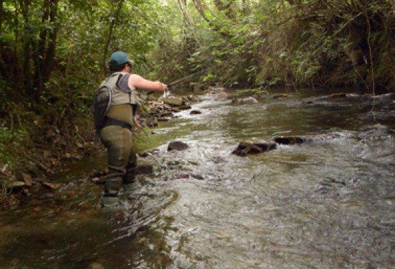 Gipuzkoa refuerza la protección de su fauna fluvial