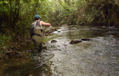 Gipuzkoa refuerza la protección de su fauna fluvial