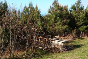 Vuelven a aparecer puestos de caza con destrozos en el monte Jaizkibel