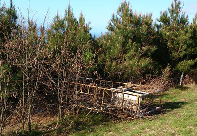 Vuelven a aparecer puestos de caza con destrozos en el monte Jaizkibel