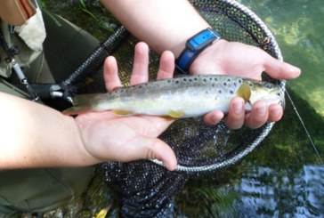 La climatología favorece un inicio ???fantástico??? de la temporada de pesca en Gipuzkoa