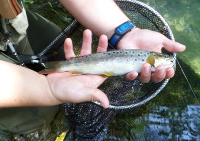 La climatología favorece un inicio ???fantástico??? de la temporada de pesca en Gipuzkoa