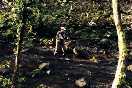 Campeonato de Gipuzkoa de salmónidos mosca