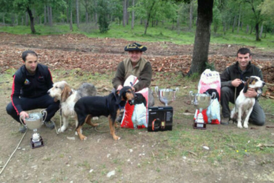 Podio vizcaíno en el Campeonato de Euskadi de perros de rastro