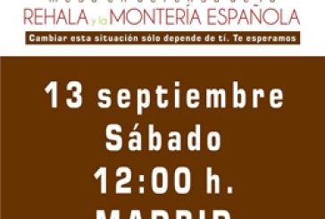 Manifestación este sábado en Madrid en defensa de la rehala y la montería