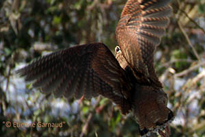 FOTO DEL DÍA: ¡Volando!