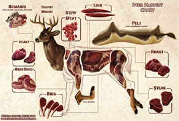 Partes aprovechables del venado