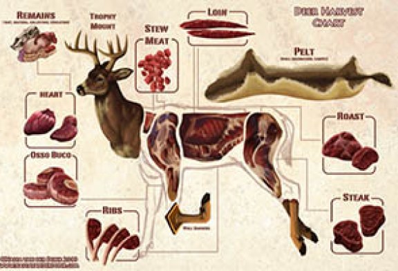 Partes aprovechables del venado