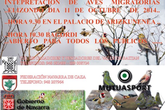 Interpretación de aves migratorias por Baztán