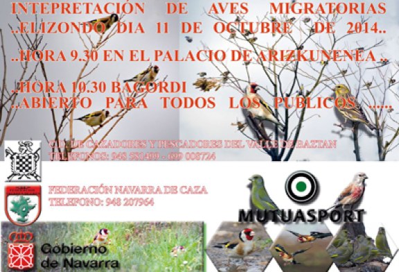 Interpretación de aves migratorias por Baztán