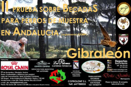 Gibraleón acogerá la II Prueba sobre Becadas para Perros de Muestra en Andalucía