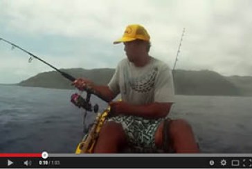 Tiburón intenta robar la captura del pescador