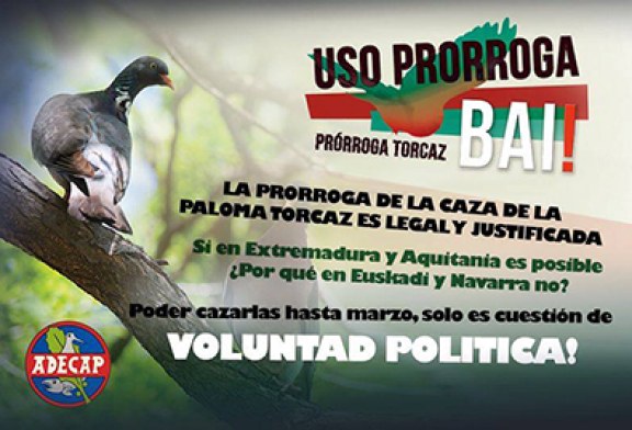 Adecap considera que la prórroga de la caza de la paloma torcaz hasta marzo es cuestión de ???voluntad política???