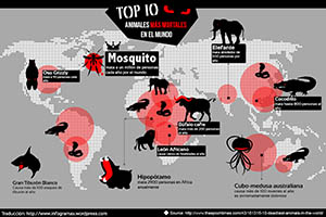 Top 10 de los animales más mortales