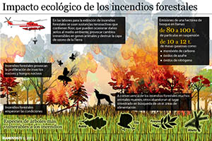 Incendios forestales