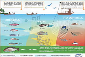 Modalidades de pesca