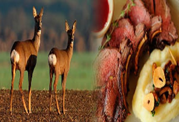 Carne de caza para comedores sociales