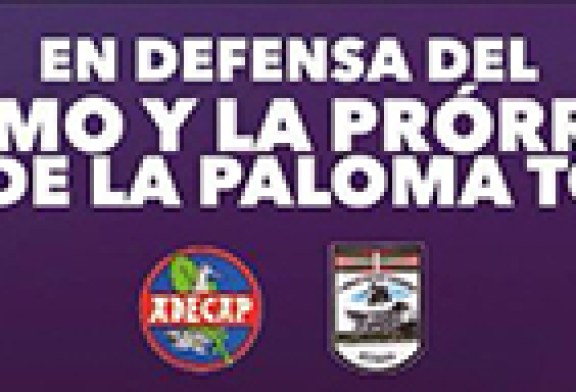Concentración de ADECAP y la Federación Bizkaina de Caza en defensa del silvestrismo y la prórroga de la caza de la paloma torcaz
