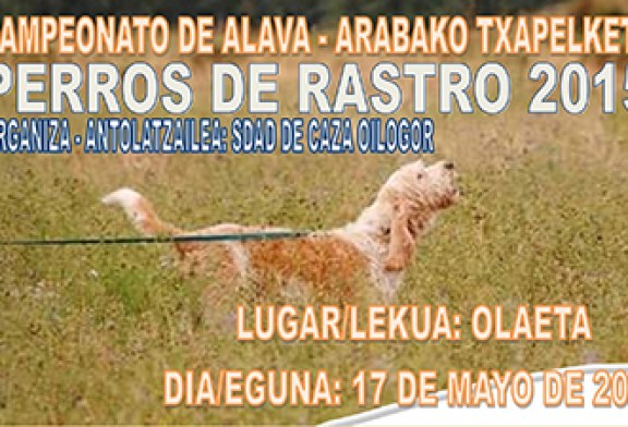 Campeonato de Álava de Perros de Rastro