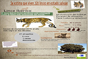 Lince Ibérico