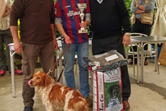 El eibarrés Iker Cenzual y su bretón Dardo de Coplilla, campeones de Euskadi de San Huberto