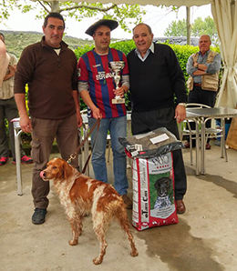 El eibarrés Iker Cenzual y su bretón Dardo de Coplilla, campeones de Euskadi de San Huberto