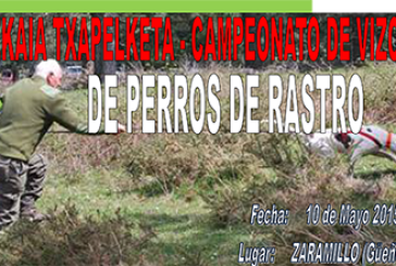 Cita mañana con los perros de rastro en Sodupe