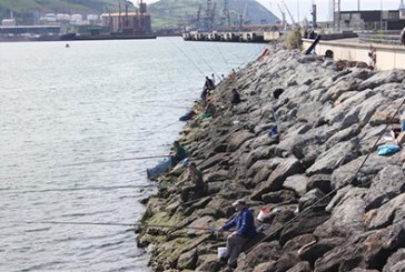 XV Maratón de Pesca de Bizkaia