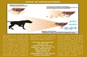 Tipos de emanaciones