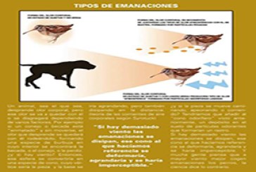 Tipos de emanaciones