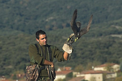 ??xito del Campeonato de Álava de Cetrería 2015