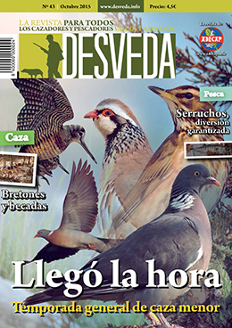 La apertura de la general marca la revista Desveda de octubre