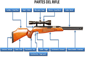 Partes de un rifle