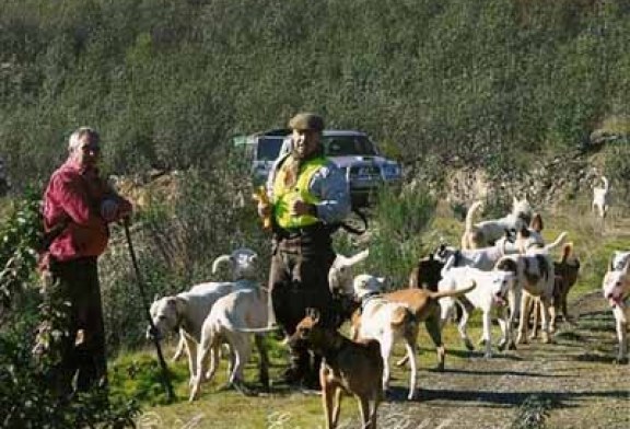 Peligra el futuro del podenco paternino