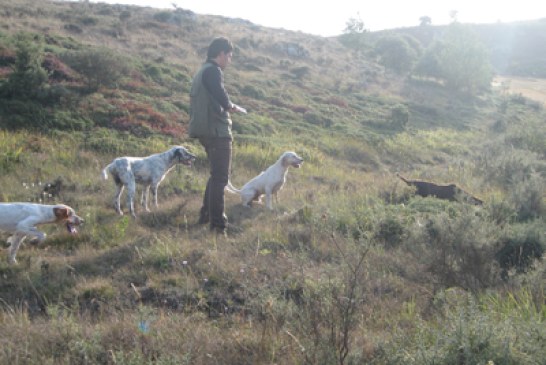 La Diputación de Bizkaia renueva los permisos en la zona de Ispaster