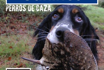 Jornada sobre primeros auxilios caninos