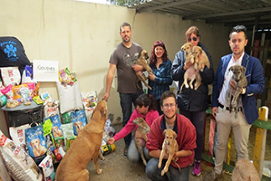 ???Jóvenes por la caza??? finaliza con gran éxito su campaña benéfica solidaria por los perros abandonados