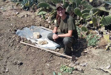 LA ASOCIACIÓN JÓVENES POR LA CAZA POR EN MARCHA UNA CAMPAÑA EN REDES SOCIALES PARA DEFENDER EL “PODER DE CONSERVACIÓN” MEDIOAMBIENTAL DE ESTA DISCIPLINA