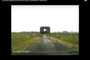 ¡PRECAUCIÓN EN LAS CARRETERAS!