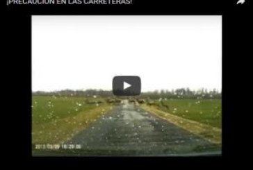 ¡PRECAUCIÓN EN LAS CARRETERAS!