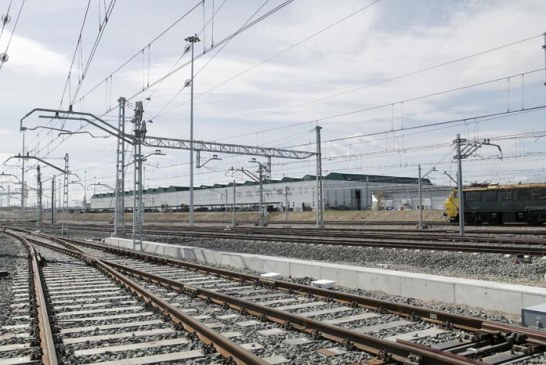 Los conejos se han multiplicado por 10 poniendo en riesgo cultivos y seguridad ferroviaria