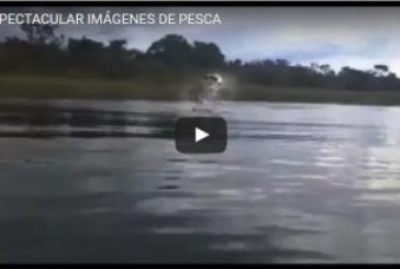 ESPECTACULAR IMÁGENES DE PESCA