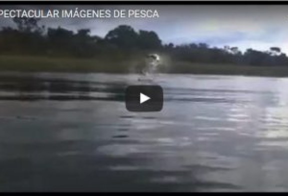 ESPECTACULAR IMÁGENES DE PESCA