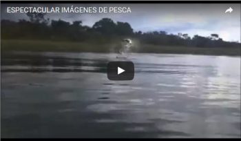 ESPECTACULAR IMÁGENES DE PESCA