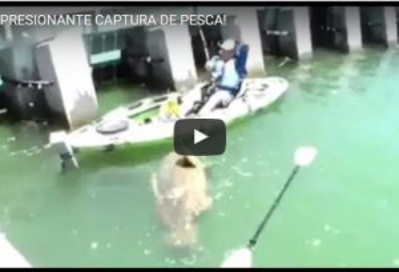 ¡IMPRESIONANTE CAPTURA DE PESCA!