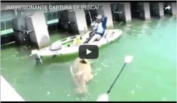 ¡IMPRESIONANTE CAPTURA DE PESCA!