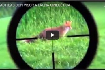 PRACTICAS CON VISOR A FAUNA CINEGÉTICA