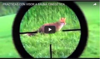 PRACTICAS CON VISOR A FAUNA CINEGÉTICA