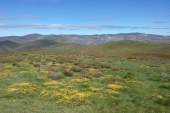 Malestar por la invasión de motos y quads en los montes de Vilariño de Conso